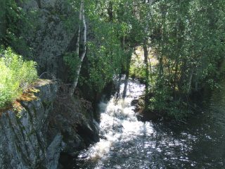 Лесной ручей тоже пытается устроить небольшой водопадик (Карелия, Надвоицы) (фото)