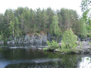 Лес ниже водопада по течению реки (Карелия, Надвоицы) (фото)