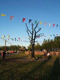 "Дерево желаний" (пластиковое) на набережной Петрозаводска (фото)